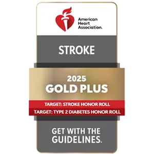 American Heart Association Get With The Guidelines® Stroke GOLD PLUS Honor Roll Elite and Target: Type 2 Diabetes Honor Roll 2020