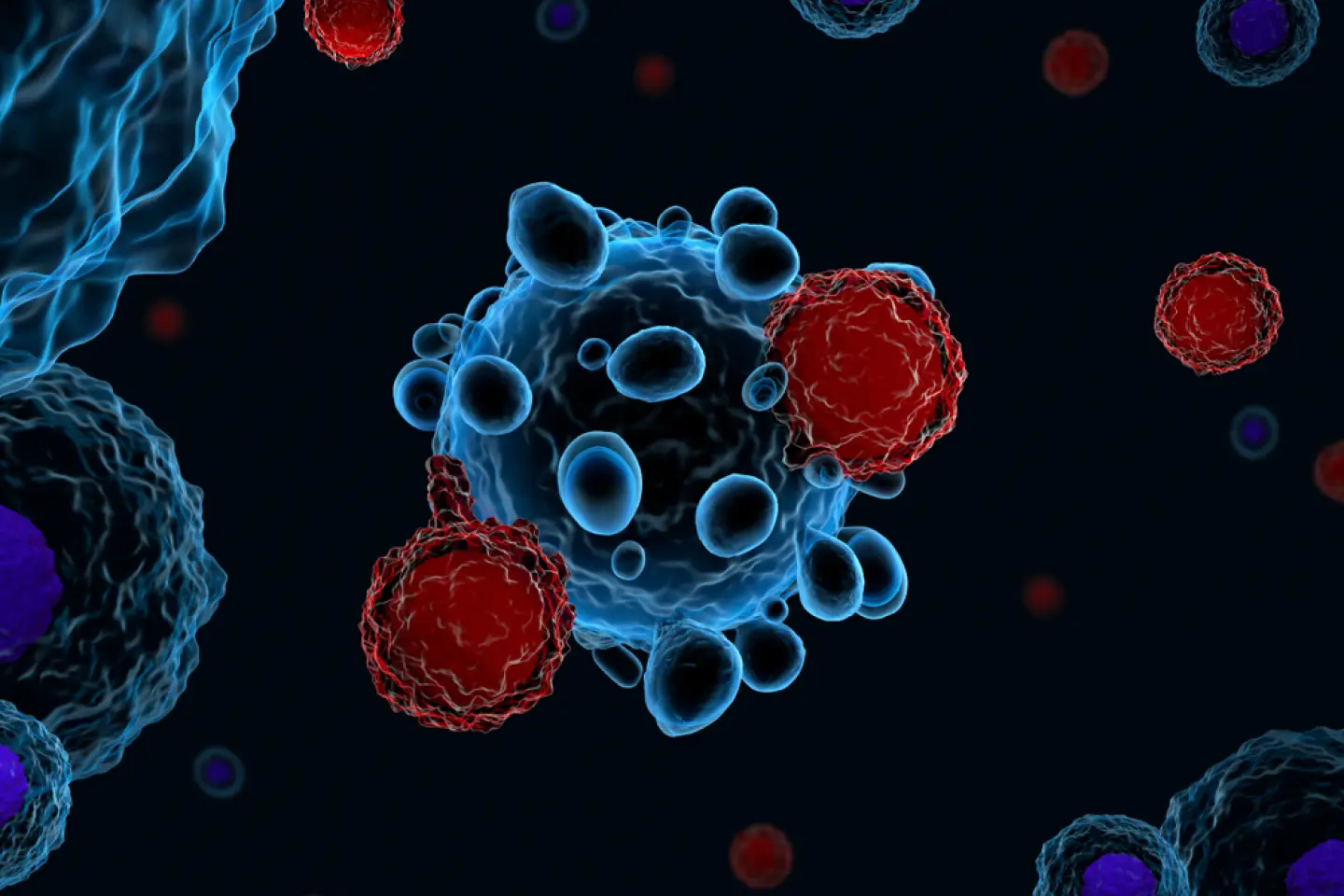 Illustration of T-Cells