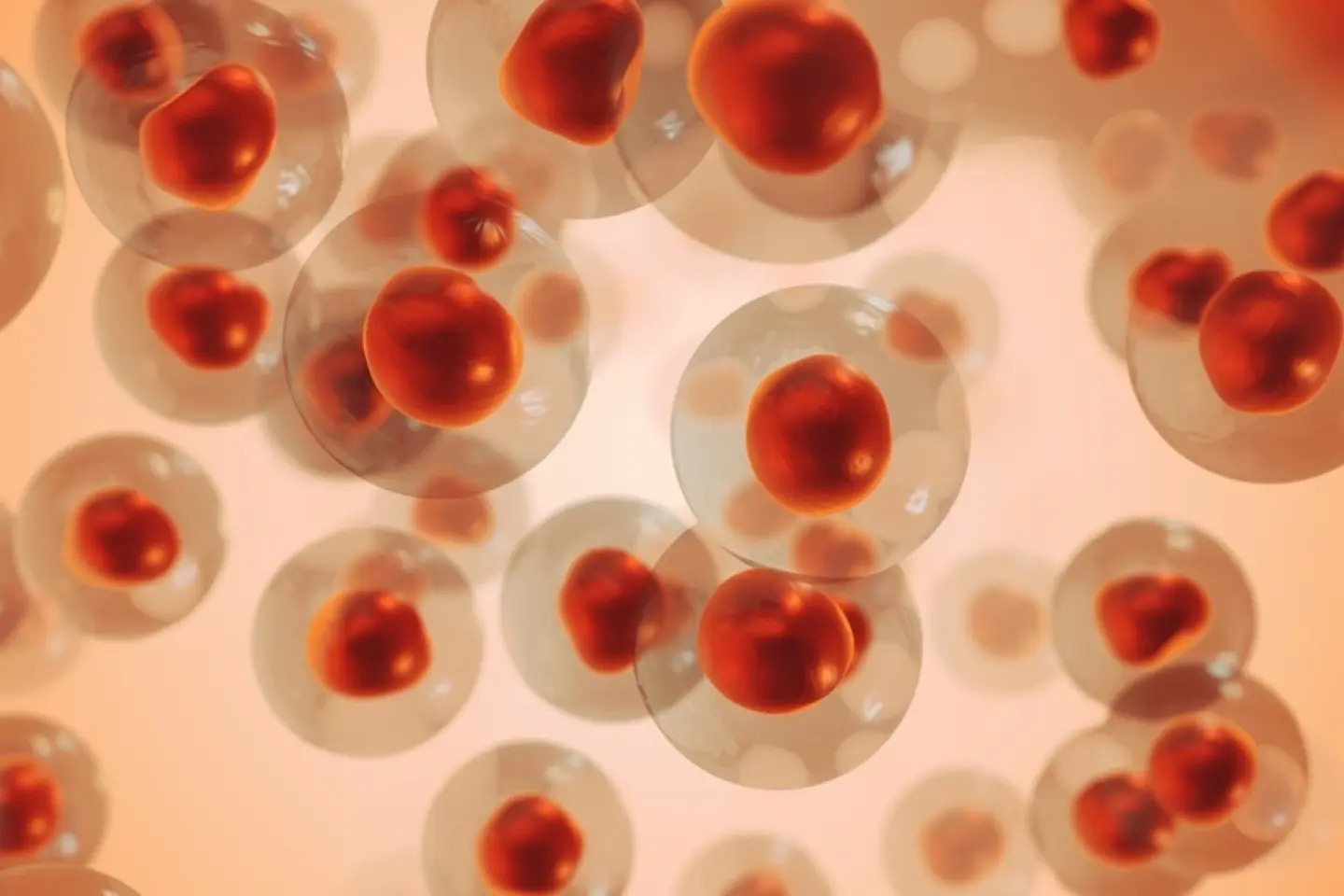 illustration of cells