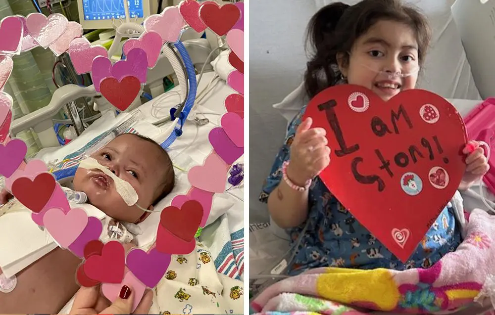 image of Nalone (left) and Mexlin