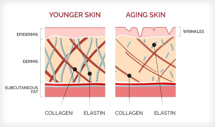 As we get older, skin shows signs of aging due to reduced collagen and elastin production as well as other factors such as exposure to UV rays and tobacco.