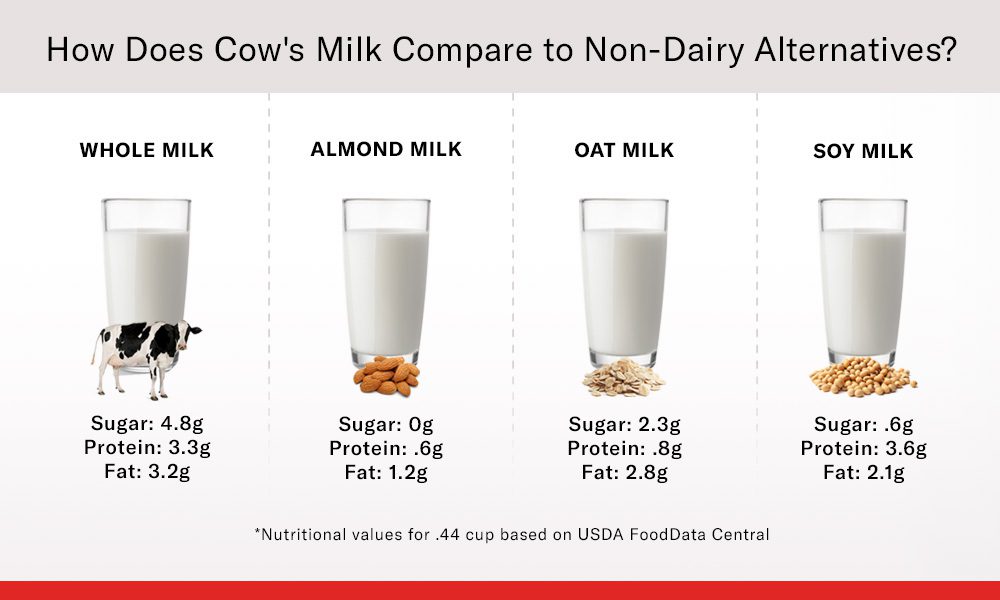 How does a cow's milk compare to non dairy alternatives?