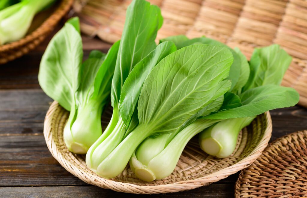Chinese cabbage