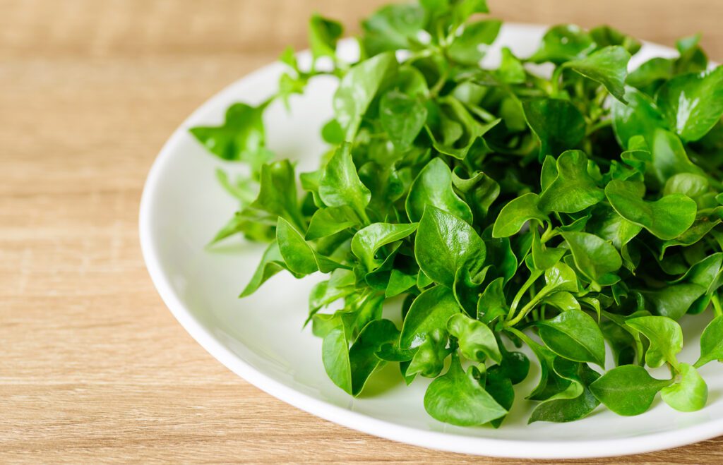 Watercress
