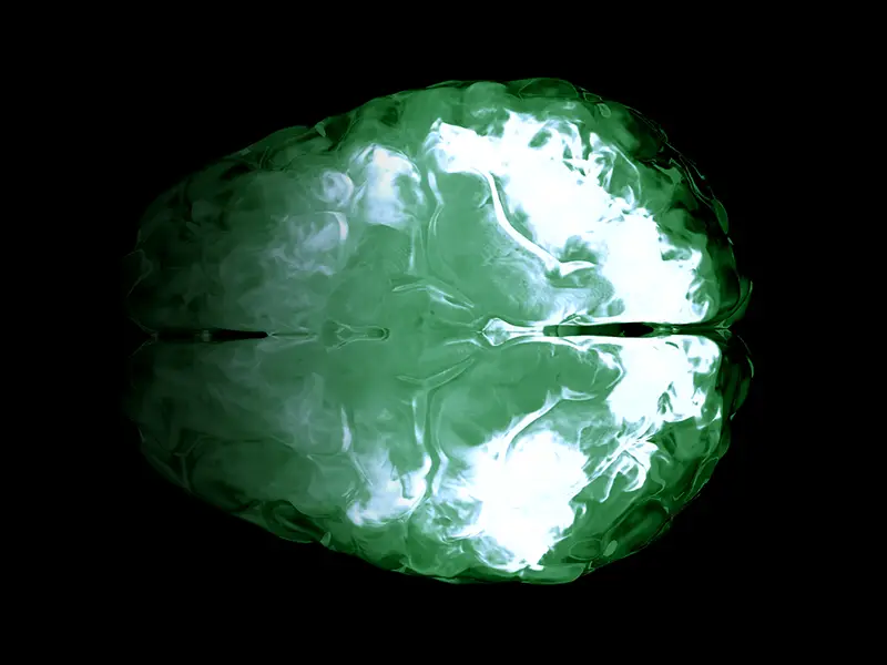 Upright PET Scanner Will Advance Early Alzheimer’s Detection