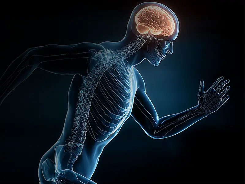 Novel Concussion Biomarker Paves Way For New Diagnostic Tool