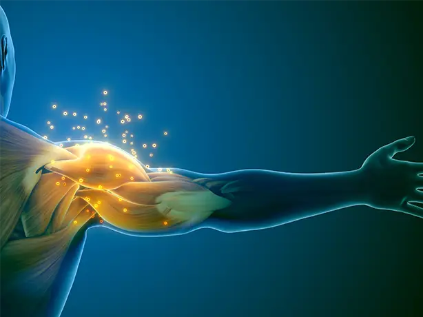 Innovations in Review: Orthopedics & Spine