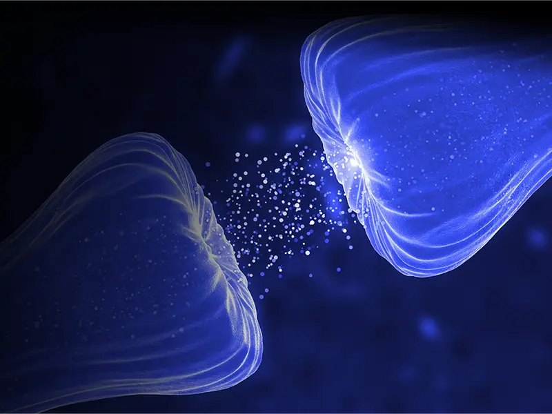 Endocannabinoids Reduce Opioid Reward Without Affecting Pain Relief