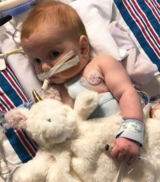 3 month old Ruby Cotter