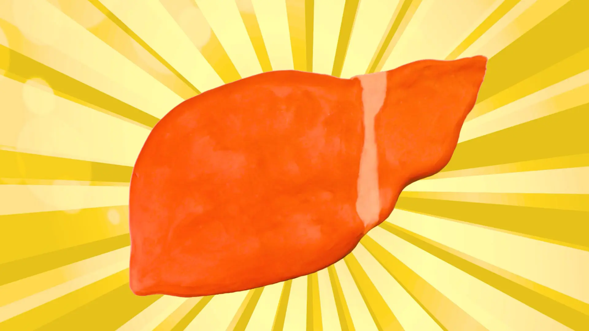 Illustration of liver