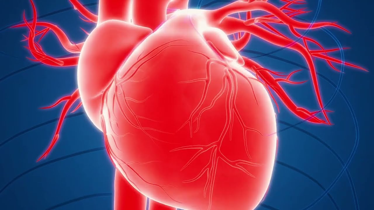 Graphic depicting a heart