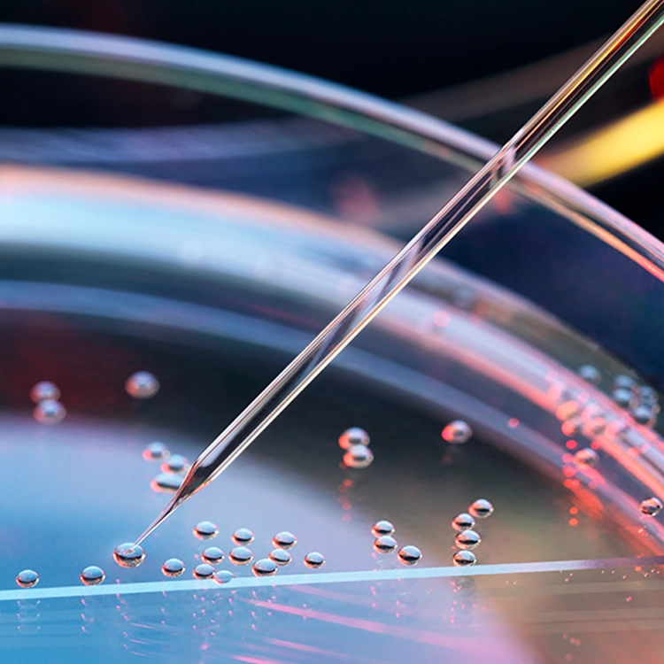 image of pippette and petri dish