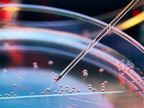 image of pipette with stem cells inside petri dish