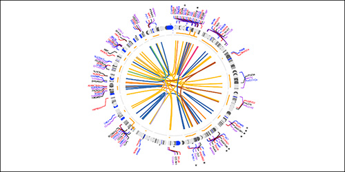 Fusion detected from the pediatric brain tumors