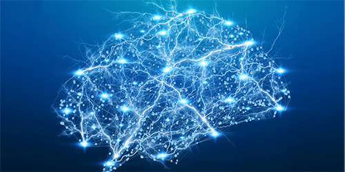 digital illustration of the human brain