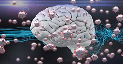 Digital illustration of macro Covid-19 cells floating over a human brain and a web of connection. Coronavirus Covid-19 pandemic concept digital composite. Blue fiber and 3D human brain with coronavirus covid19 cells floating