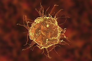 Macrophage, computer illustration.
