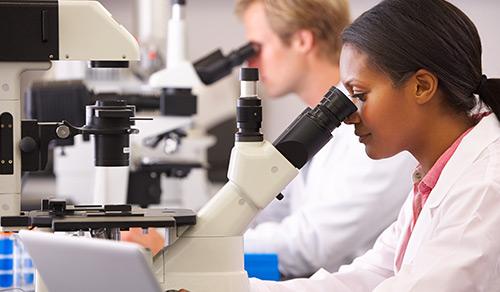 A woman looking through a microscope