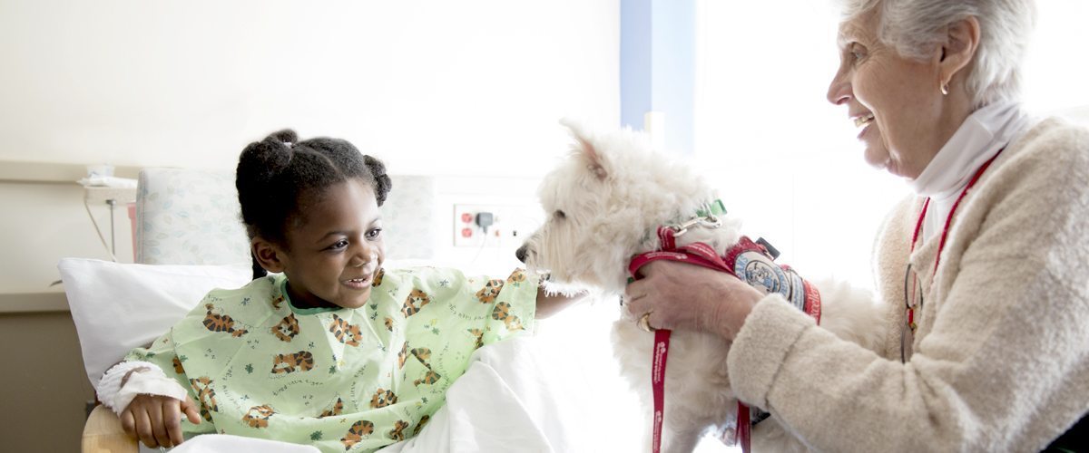 How Therapy Dogs are Making a Difference