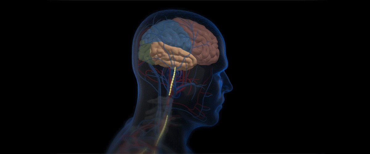 An Overdose Epidemic Amid the Pandemic