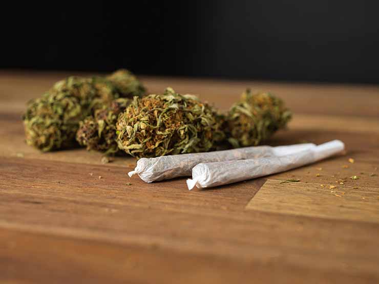 image of marijuana on table